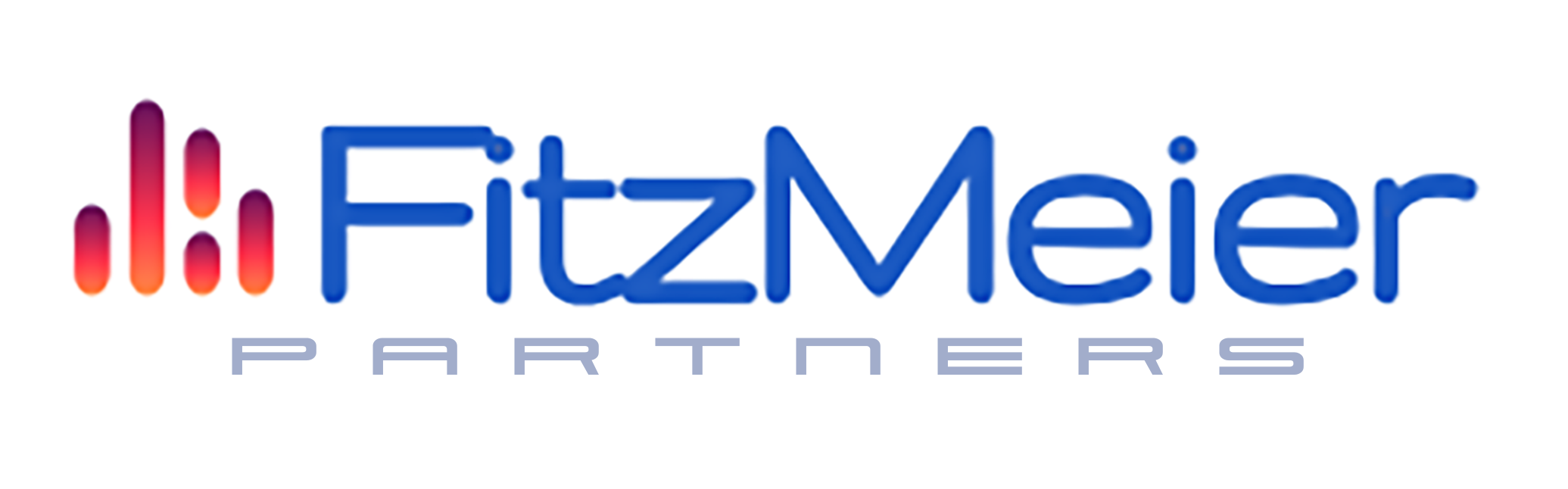 FitzMeier Partners